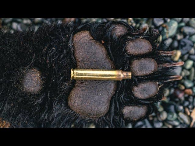 THE PROOF (An Alaskan Bear Hunt)