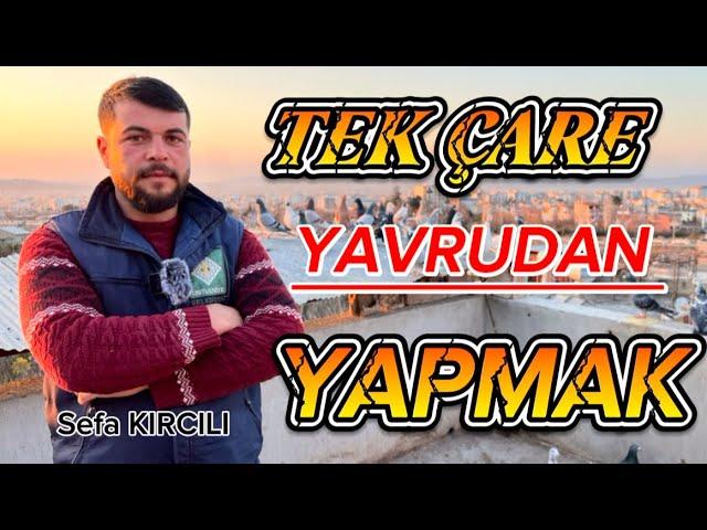 GÜVERCİN SEVGİSİ ANLATILMAZ YAŞANIR SEFA KIRCILI