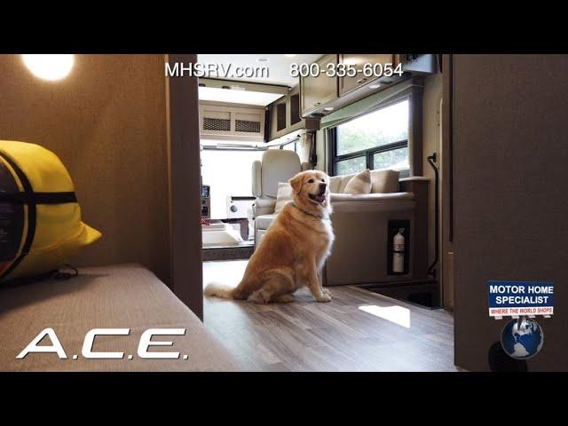 Pet Friendly Thor Motor Coach ACE RVs for Sale at MHSRV.com - 2020 - 2019