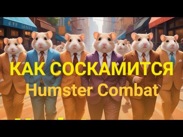 ХАМСТЕР КОМБАТ СКАМ, ХОМЯК СОСКАМИЛСЯ, ЧТО ДЕЛАТЬ С HUMSTER COMBAT ДАЛЬШЕ, КАК ВЫВЕСТИ ТОКЕНЫ