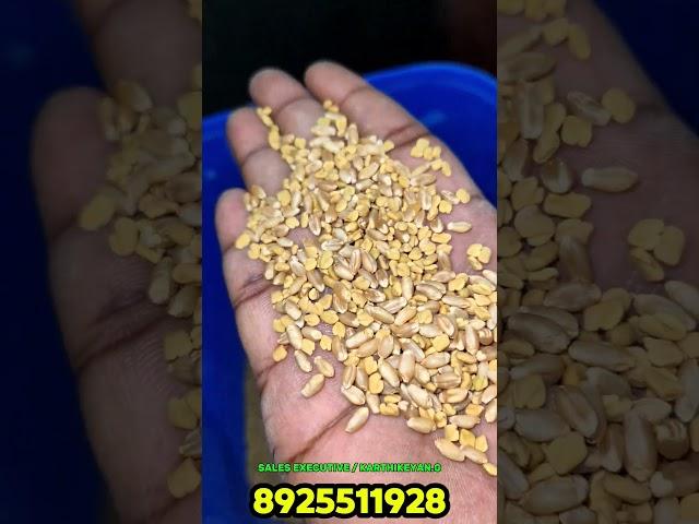 Qube Color sortex, All india service available,If you interested contact 8925511928 Methi sorting
