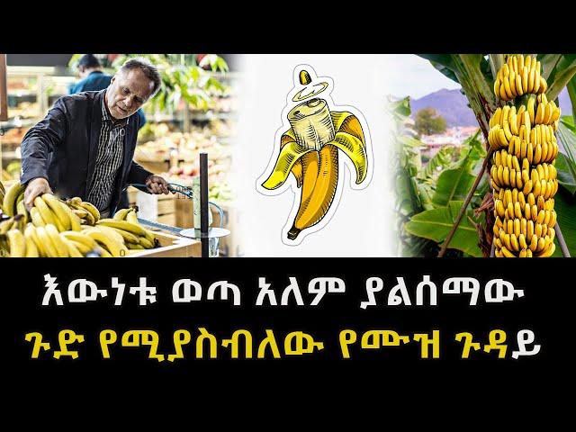 እውነቱ ወጣ አለም ያልሰማው ጉድ የሚያስብለው የሙዝ ጉዳይ  Abel Birhanu untold story of banana