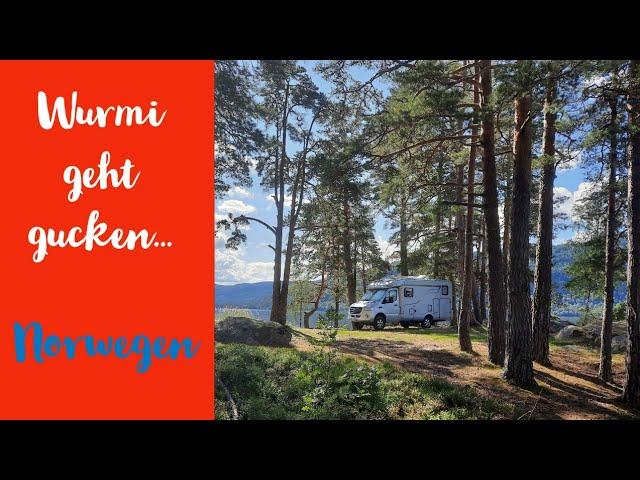 007 Wurmi geht gucken.Mit dem Wohnmobil in Norwegen, Geiranger,Trollsteig und tolle Landschaft #2