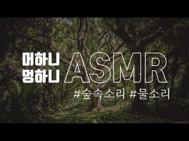 [멍ASMR] ‍️요정이 살 것 같은 숲 속 | 숲속소리, 물흐르는 소리 | 수면유도, 집중, 꿀잠 | forest sounds, bird songs, study, sleep