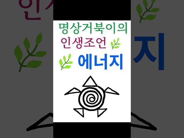 에너지 | 인생조언 | 수행 | 깨달음 | 마음공부 #명상거북이 #shorts