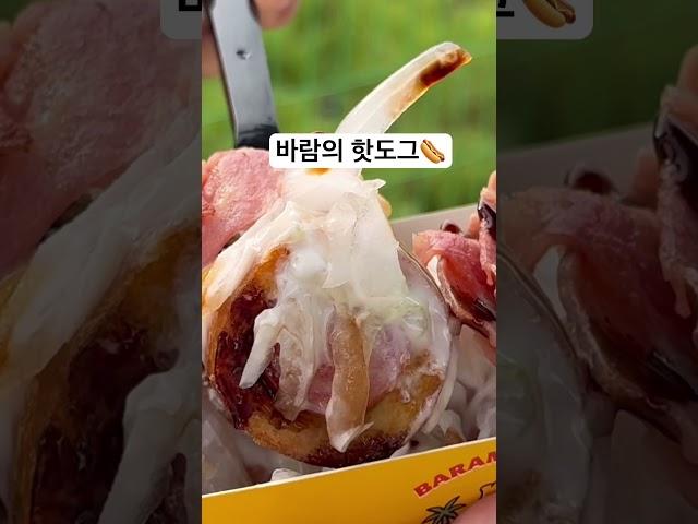 거제 바람의핫도그 #1인가구 #1인가구브이로그 #거제도여행 #food #일상 #맛집 #40대 #40대브이로그