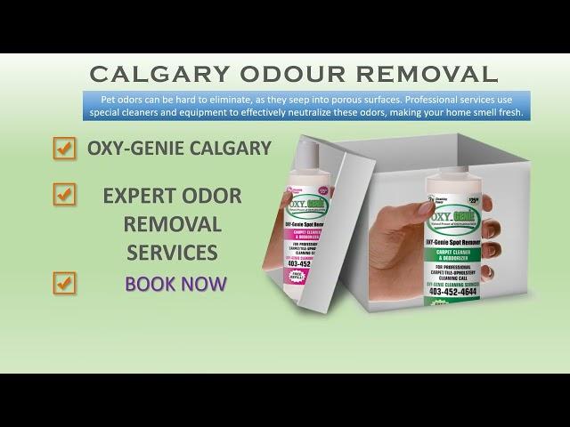 Expert Pet Stain Removal Calgary - Carpet Odour (2024)