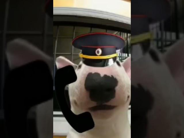 геодезическая 12