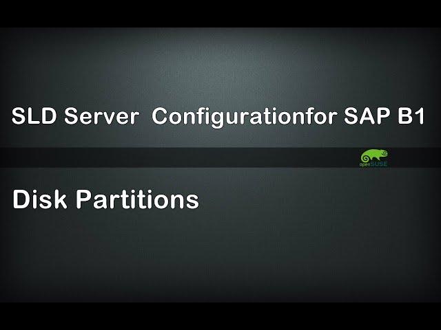 Hana and SLD Server | Partitions creation for SAP B1