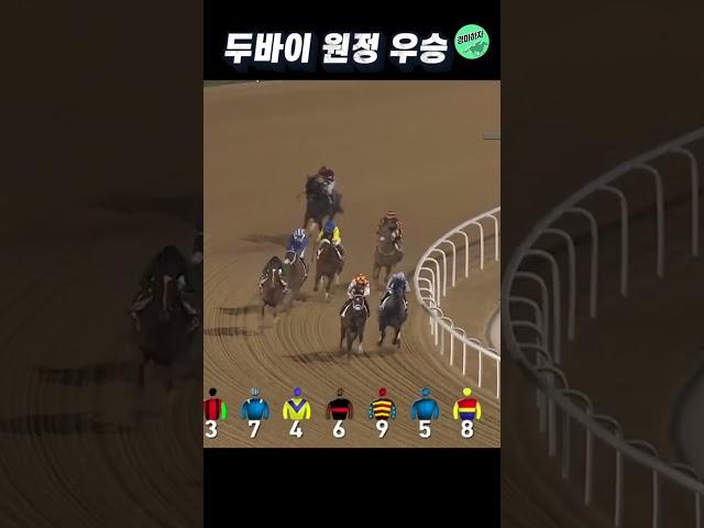 '그리운 경주마' 돌콩의 두바이 원정 추입 우승! #shorts