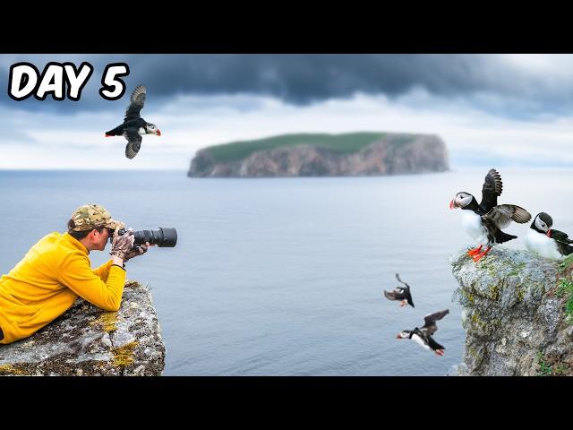 I Visited Norway’s Puffin Island