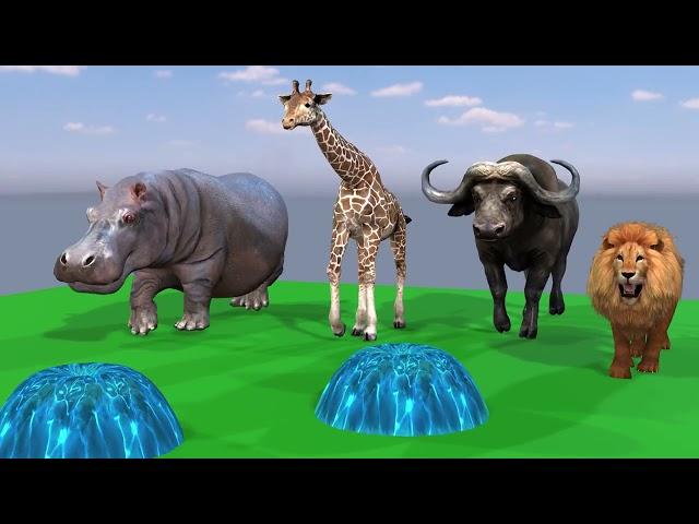 ,gorilla,dinosaur,animals escape room,choose the right key challenge,choose the right key with cow,