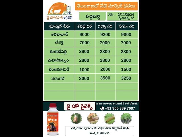 jhk market rate updates | Today Market Prices of Green chilli & Tomato in telangana |   @JaiHoKisan