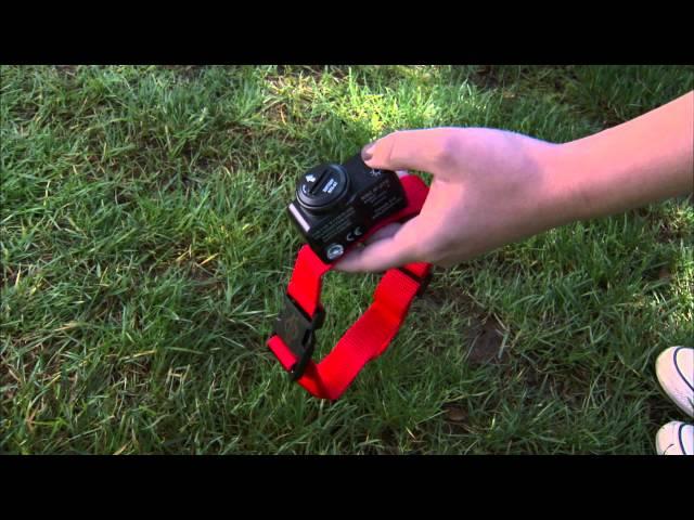 How to Install a PetSafe® Wireless Dog Fence