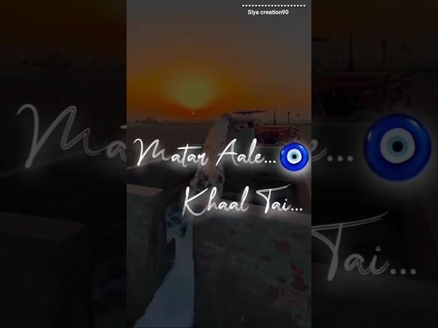 29December nu shdya date likhi payi aahh motar aale khaal tai #whatsappstatus #feelshortvideos
