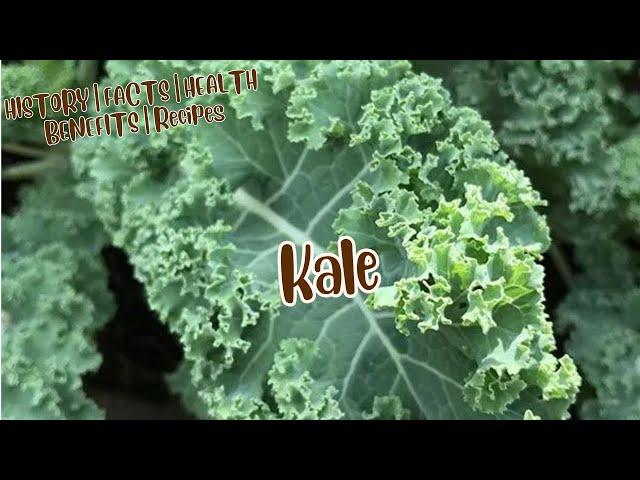 Origin of Kale | HISTORY | Amazing & Interesting FACTS of Kale |HEALTH BENEFITS of Kale| Kale Recipe