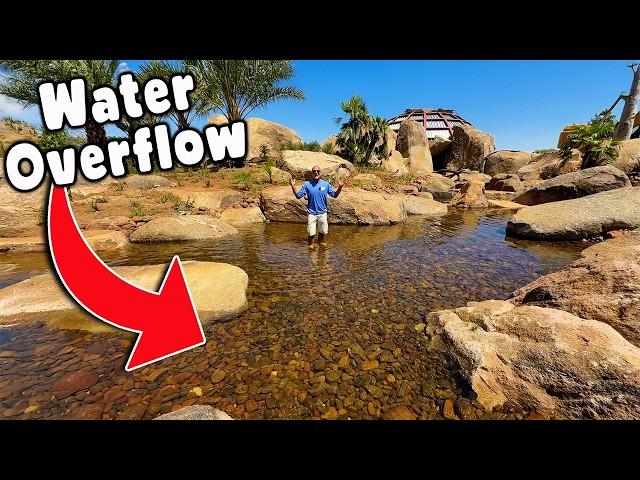 Beautiful Wetland For The African Pond Build