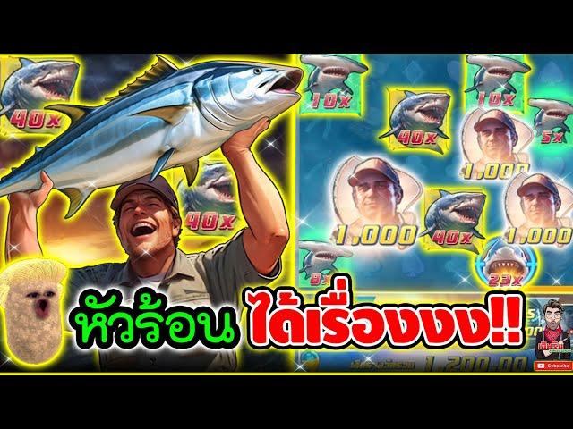 หัวร้อนขึ้นเบท ได้เรื่องหว่ะ !!!│เกม Shark Hunter  Slot PG