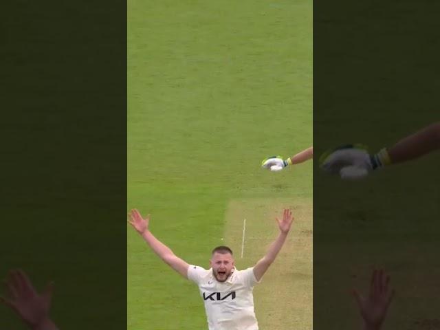 Out or not out?  Gus Atkinson vs Pieter Malan | County Championship  | #SurreyCricket