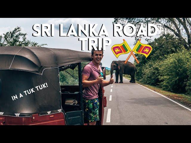 DRIVING A TUK TUK AROUND SRI LANKA | 3 week Sri Lanka itinerary |  Tuk Tuk Sri Lanka | Travel