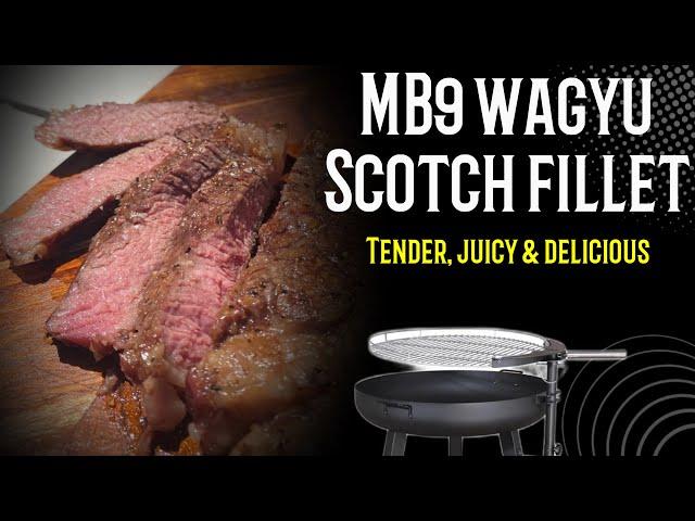 MB9 Wagyu scotch fillet over hot coals - is it worth paying the extra?