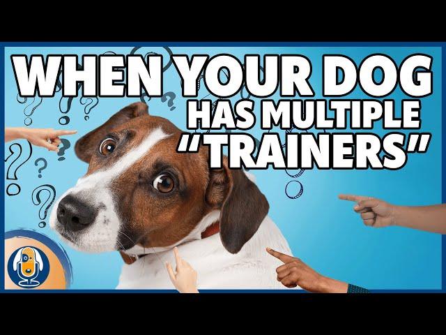 When Your Dog’s Family Members Have Different Views On Dog Training