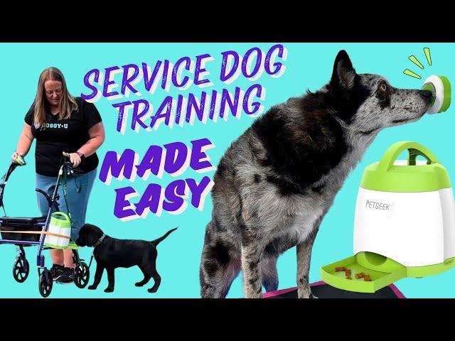 Easiest Service Dog Training Tool! Train Alerts, Lights, Closing Doors + Help w/ Mobility & Timing