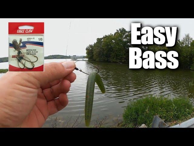 Easy Bass Fishing for ANYONE - Affordable Fishing for Beginners