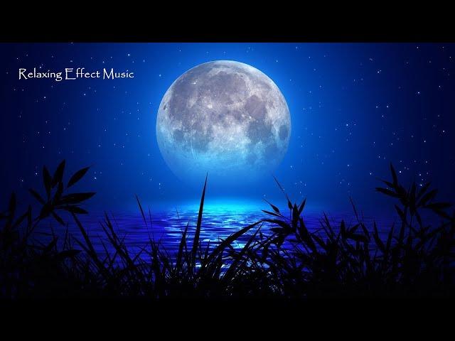 Soothing Ambiance Meditation Music, Instant Relaxation & Positive Energy, Healing Music to Calm Mind