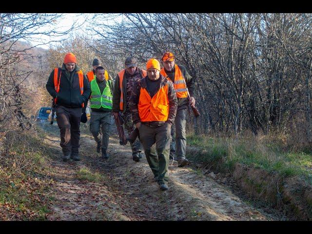 AJVPS Ileanda - Vânătoare la mistreți  (10 noiembrie 2024)