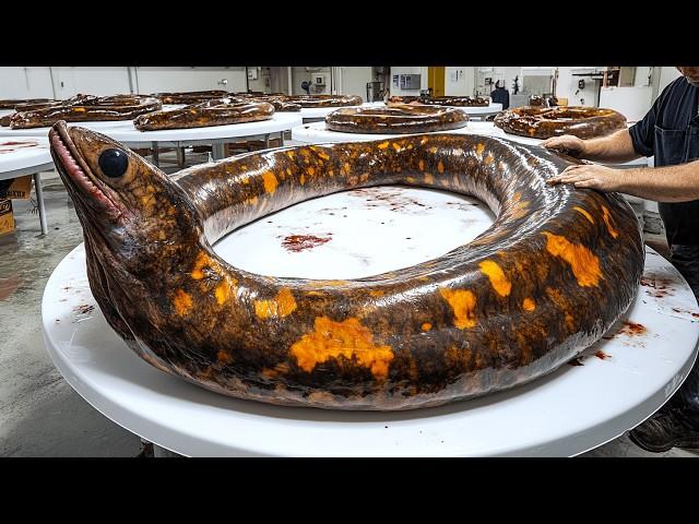 Cutting a Giant Moray Eel  | Expert Fish Cutter Handles Massive Moray Eel at Seafood Market