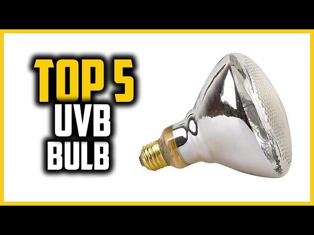 Top 5 Best UVB Bulb For Bearded Dragon in 2023