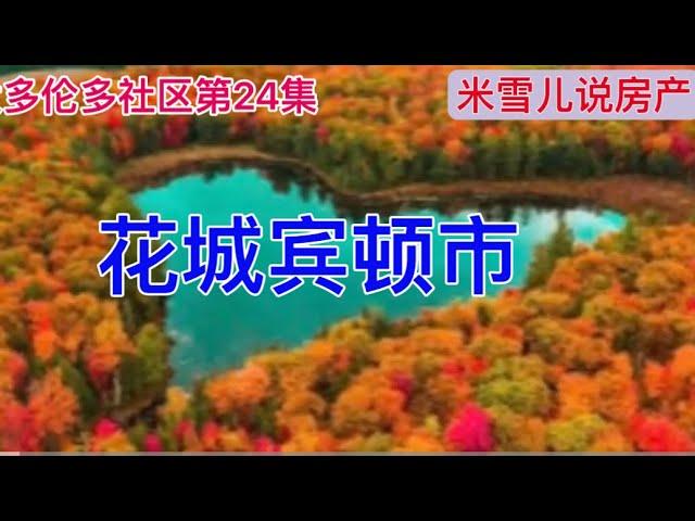 “花城”宾顿市探秘