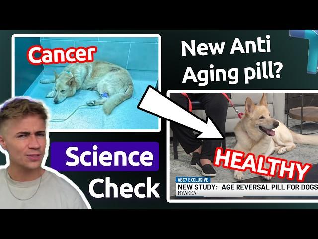 Science Check: Correcting Dylan Page on Anti-Aging 'Breakthroughs'