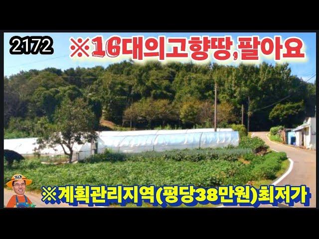 ※(돈)이우리를슬프게합니다 #강화도토지 #강화도땅 #강화도농막 #강화도부동산 #강화도전원주택 #강화도농가주택 #김포토지 #강화농지 #부성부동산Tv