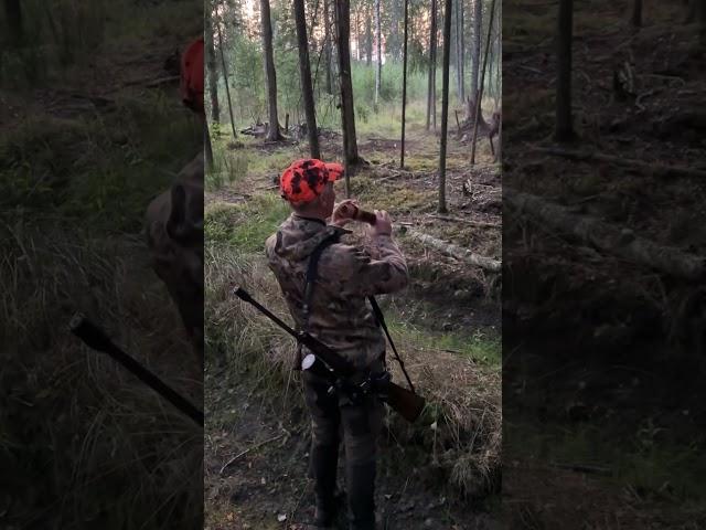 Hunter Breaks Up Intense Red Stag Fight with a Deer Call!