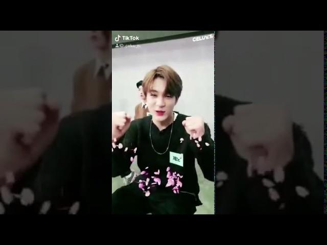 091118 NCT DREAM CELUV.TV TIKTOK