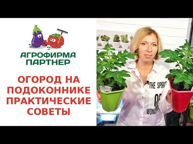 ОГОРОД НА ПОДОКОННИКЕ. ПРАКТИЧЕСКИЕ СОВЕТЫ