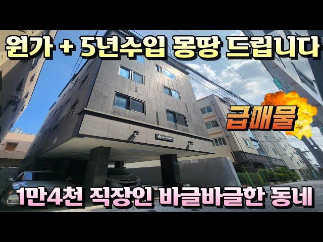 [대구원룸매매]건강문제로 손해보고 정리하는 급매물 1만4천 직장인 임대수요 넘치는 위치 안전성과미래가치 모두 훌륭해요.