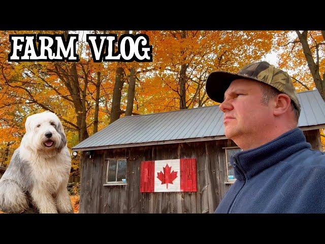 A Fall Day at a Farm Stay in Ontario, Canada