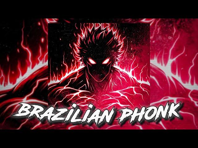 BRAZILIAN PHONK / FUNK MIX 2024 ※ MUSIC PLAYLIST [GYM, AGGRESSIVE, FUNK, 1 HOUR]