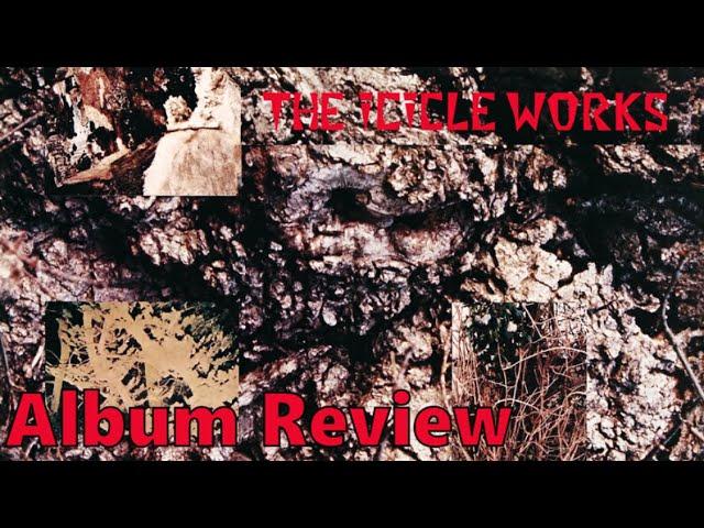 The Icicle Works Album Review