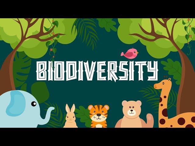 What Is Biodiversity? - Definition, Types And Importance - Biological diversity - Learning Junction