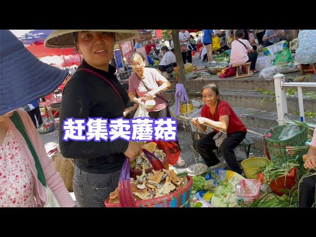 娜姐和雨锅收获两大篮蘑菇，拿到集市上去卖，一起看看战绩如何吧