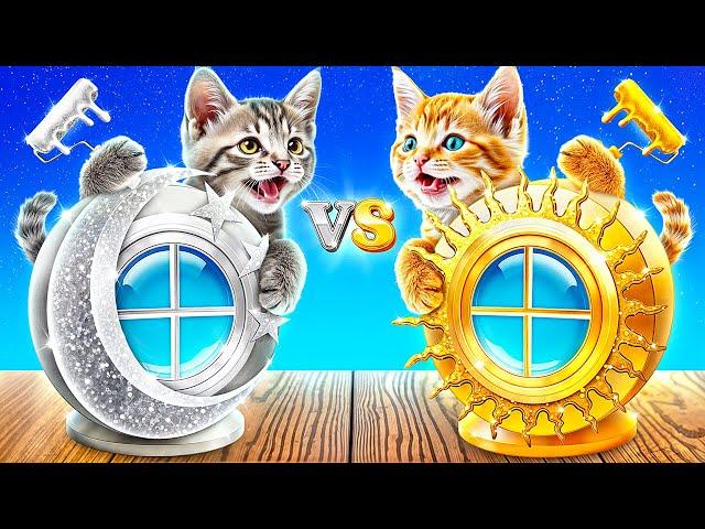 How to Make a Secret Room for Kittens! Gold Cat vs Silver Cat!