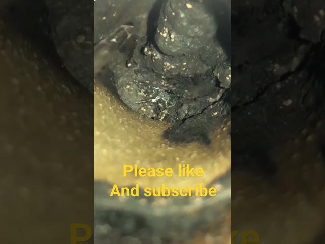 #shams #auto #mechanic #shorts #video