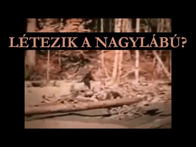 A Patterson-Gimlin Bigfoot felvétel | Kriptozoológia: NAGYLÁBÚ | D-akták 10