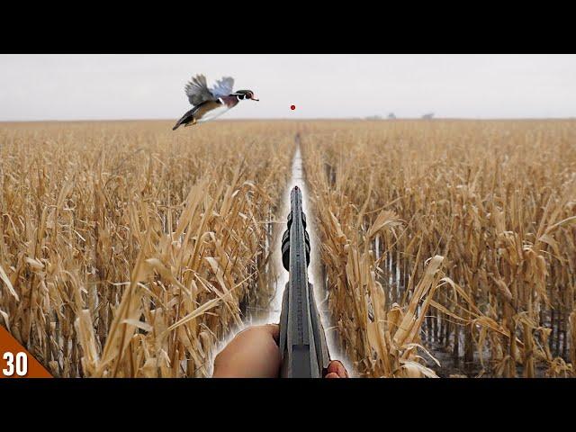 Duck Hunting a FLOODED Cornfield! (Limited Out) | MALLARDS and WOOD DUCKS Over a SMALL Spread