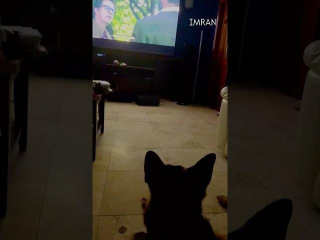 GSD Who Truly Watches Movies — IMRAN®