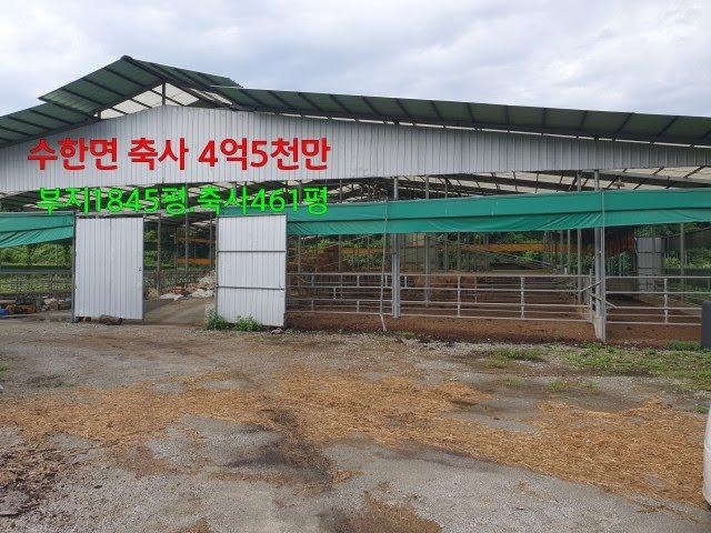 (2430) 축사4억5천만 부지1845평/축사461평  .양지부동산* 보은양지부동산* 양지공인중개사*보은양지공인중개사